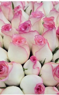 Flowers from 100 Roses Dubai shared by Valeryia Lubchonak